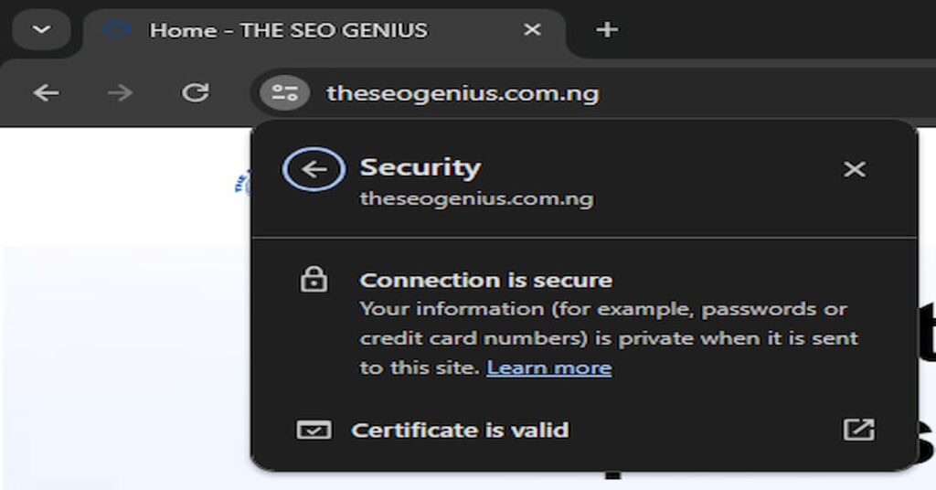 THE SEO GENIUS Homepage showing HTTPS website secured with SSL certificate.